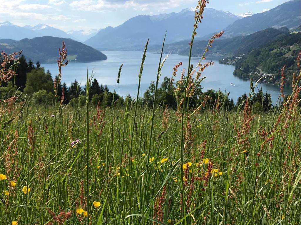 Appartement Zirbenduft Ferienhaus Fuenf Sinne Döbriach Exteriér fotografie